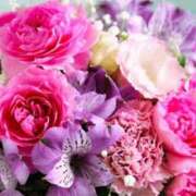 リリア ✨💖新章に微笑みを🩷✨🌿 ミセスコレクション