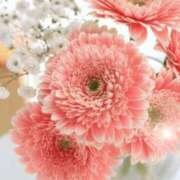 ヒメ日記 2026/04/16 05:43 投稿 リリア ミセスコレクション