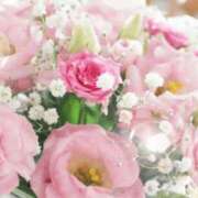 ヒメ日記 2026/04/22 05:53 投稿 リリア ミセスコレクション