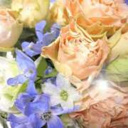 ヒメ日記 2026/04/24 06:23 投稿 リリア ミセスコレクション