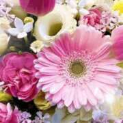 ヒメ日記 2026/04/28 06:03 投稿 リリア ミセスコレクション