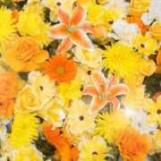 ヒメ日記 2026/05/03 06:05 投稿 リリア ミセスコレクション