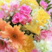 ヒメ日記 2026/06/03 06:03 投稿 リリア ミセスコレクション