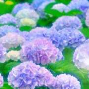 ヒメ日記 2026/06/09 06:16 投稿 リリア ミセスコレクション