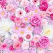 ヒメ日記 2026/08/09 06:13 投稿 リリア ミセスコレクション