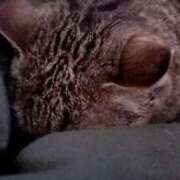 ヒメ日記 2025/04/29 21:43 投稿 じゅん 完熟ばなな札幌・すすきの