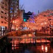 ヒメ日記 2025/05/02 23:29 投稿 じゅん 完熟ばなな札幌・すすきの