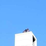 ヒメ日記 2025/08/13 23:30 投稿 じゅん 完熟ばなな札幌・すすきの