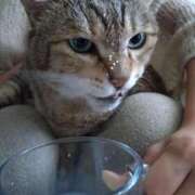 ヒメ日記 2025/08/23 14:59 投稿 じゅん 完熟ばなな札幌・すすきの