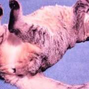 じゅん ご無沙汰しておりました💦 完熟ばなな札幌・すすきの