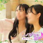 ヒメ日記 2025/02/26 15:11 投稿 ココ ビギナーズ和歌山