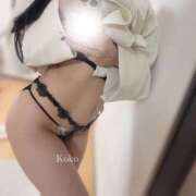 ヒメ日記 2025/03/17 09:07 投稿 ココ ビギナーズ和歌山