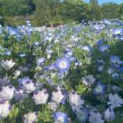 ヒメ日記 2025/05/12 18:57 投稿 まい 岐阜岐南各務原ちゃんこ