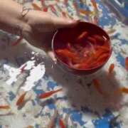 ヒメ日記 2025/05/29 16:17 投稿 まい 岐阜岐南各務原ちゃんこ