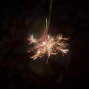 ヒメ日記 2025/07/19 18:27 投稿 まい 岐阜岐南各務原ちゃんこ