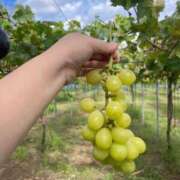 ヒメ日記 2025/09/19 19:47 投稿 まい 岐阜岐南各務原ちゃんこ