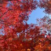 ヒメ日記 2025/12/02 17:37 投稿 まい 岐阜岐南各務原ちゃんこ