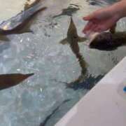 ヒメ日記 2025/12/12 19:17 投稿 まい 岐阜岐南各務原ちゃんこ