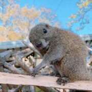 ヒメ日記 2026/02/06 20:48 投稿 まい 岐阜岐南各務原ちゃんこ