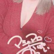 ヒメ日記 2026/02/17 20:07 投稿 まい 岐阜岐南各務原ちゃんこ