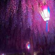 ヒメ日記 2026/04/20 17:27 投稿 まい 岐阜岐南各務原ちゃんこ