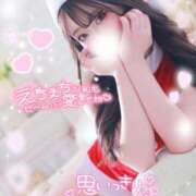 ヒメ日記 2024/12/24 12:06 投稿 うみ abc＋