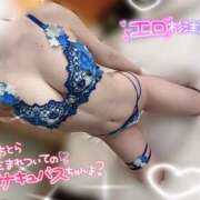 ヒメ日記 2025/05/09 16:50 投稿 うみ abc＋