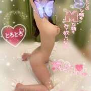 ヒメ日記 2025/07/07 15:35 投稿 うみ abc＋