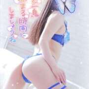 ヒメ日記 2026/02/12 01:13 投稿 うみ abc＋