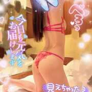 ヒメ日記 2026/02/20 00:36 投稿 うみ abc＋