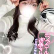 ヒメ日記 2026/02/20 05:12 投稿 うみ abc＋