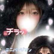 ヒメ日記 2026/04/03 04:25 投稿 うみ abc＋