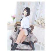 ヒメ日記 2025/12/26 10:16 投稿 つばき 鹿鳴館