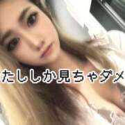 ヒメ日記 2025/03/23 06:21 投稿 世良　みやび OLセレクション宇都宮店