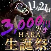 ヒメ日記 2024/11/17 15:25 投稿 睦月（むつき） 丸妻 錦糸町店