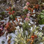 ヒメ日記 2024/12/28 14:45 投稿 如月 熟女待機所 厚木店