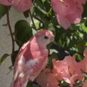 ヒメ日記 2024/12/28 20:36 投稿 如月 熟女待機所 厚木店