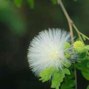 ヒメ日記 2025/01/18 11:55 投稿 如月 熟女待機所 厚木店