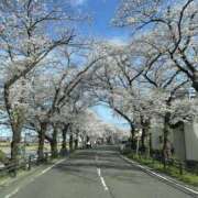 ヒメ日記 2025/04/12 14:39 投稿 如月 熟女待機所 厚木店