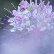 ヒメ日記 2025/08/20 19:24 投稿 如月 熟女待機所 厚木店