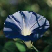 ヒメ日記 2025/08/26 17:44 投稿 如月 熟女待機所 厚木店