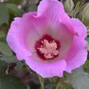 ヒメ日記 2025/09/09 19:46 投稿 如月 熟女待機所 厚木店