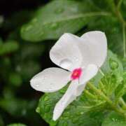 ヒメ日記 2025/09/17 15:05 投稿 如月 熟女待機所 厚木店