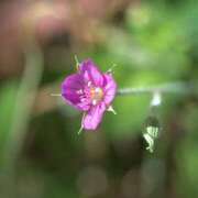 ヒメ日記 2025/09/19 20:25 投稿 如月 熟女待機所 厚木店