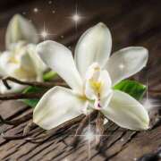 ヒメ日記 2025/09/22 17:05 投稿 如月 熟女待機所 厚木店