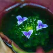 ヒメ日記 2025/10/22 22:06 投稿 如月 熟女待機所 厚木店