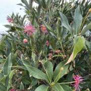 ヒメ日記 2025/10/24 12:46 投稿 如月 熟女待機所 厚木店