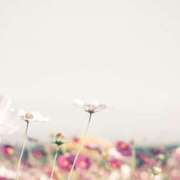 ヒメ日記 2025/10/31 12:06 投稿 如月 熟女待機所 厚木店