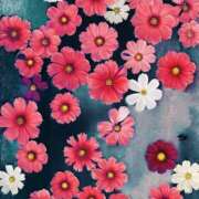 ヒメ日記 2025/11/06 13:26 投稿 如月 熟女待機所 厚木店