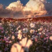 ヒメ日記 2025/11/09 10:46 投稿 如月 熟女待機所 厚木店